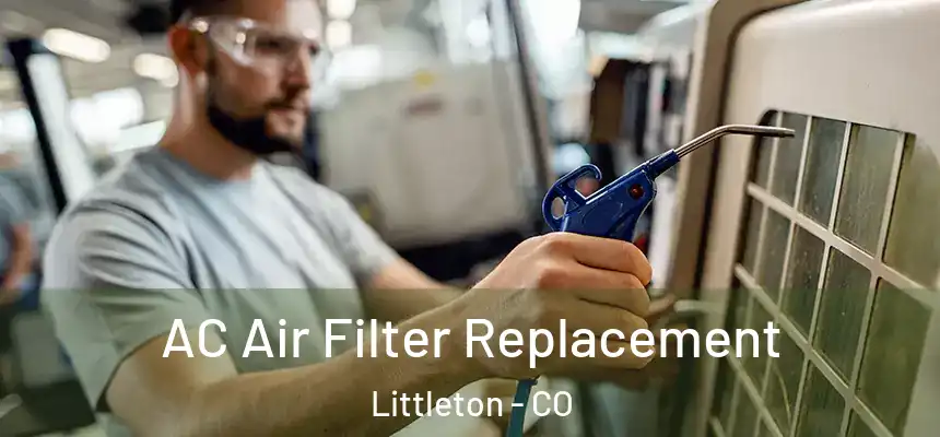  AC Air Filter Replacement Littleton - CO