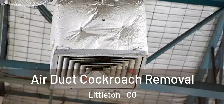  Air Duct Cockroach Removal Littleton - CO