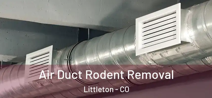  Air Duct Rodent Removal Littleton - CO