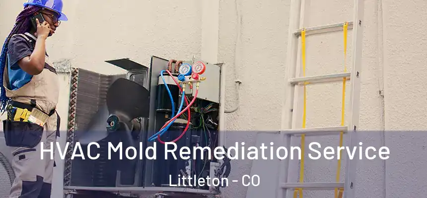  HVAC Mold Remediation Service Littleton - CO
