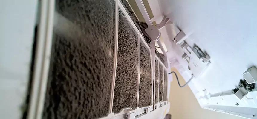 Preventive Air Duct Bacteria Removal in Littleton