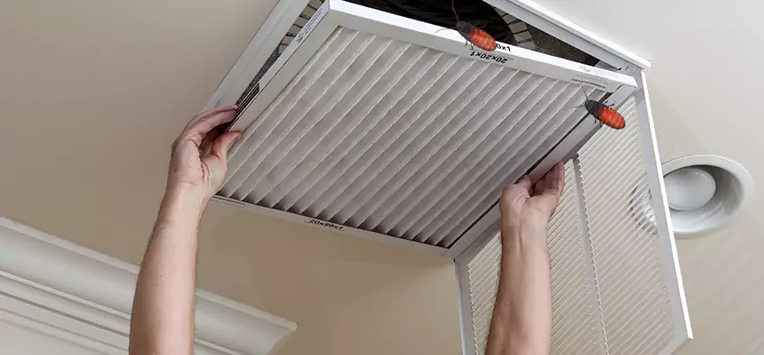 Preventive Cockroach-Proofing for Ducts in Littleton