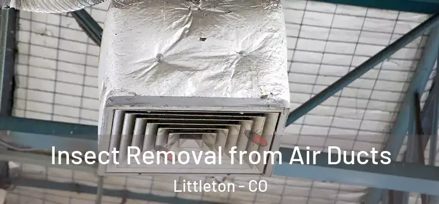  Insect Removal from Air Ducts Littleton - CO