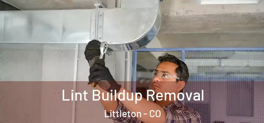  Lint Buildup Removal Littleton - CO