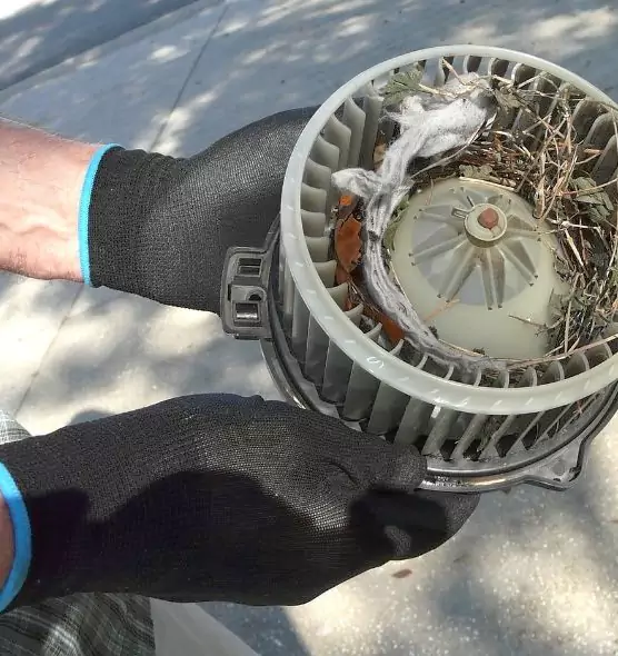 About Air Duct Mice Removal in Littleton, CO