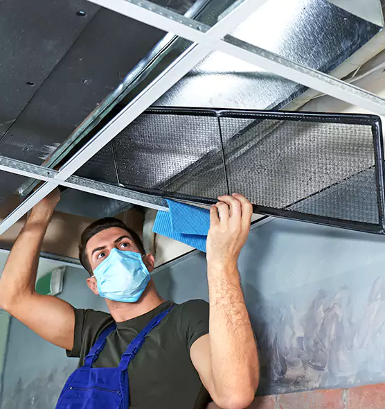 Professional Air Duct Pollen Cleaning in Littleton, CO