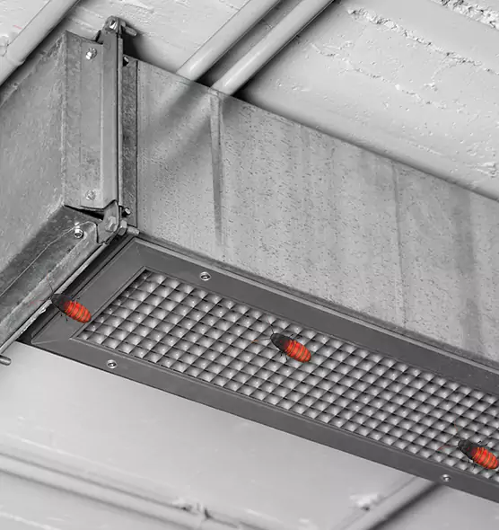 Affordable Insect Removal from Air Ducts in Littleton, CO