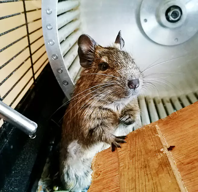 Why Homeowners & Businesses Trust Us Littleton, CO?