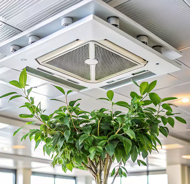 Why Homeowners & Businesses Trust Us in Littleton, CO?