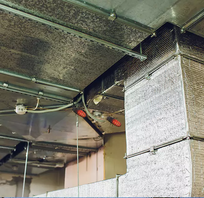 Why Homeowners & Businesses Trust Us Littleton, CO?